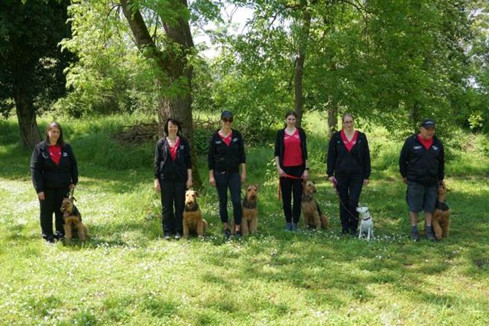 Beschreibung: Beschreibung: Ein Bild, das Gras, Baum, drauen, Person enthlt.

Automatisch generierte Beschreibung