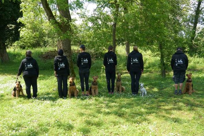 Beschreibung: Beschreibung: Ein Bild, das Gras, Baum, drauen, Person enthlt.

Automatisch generierte Beschreibung