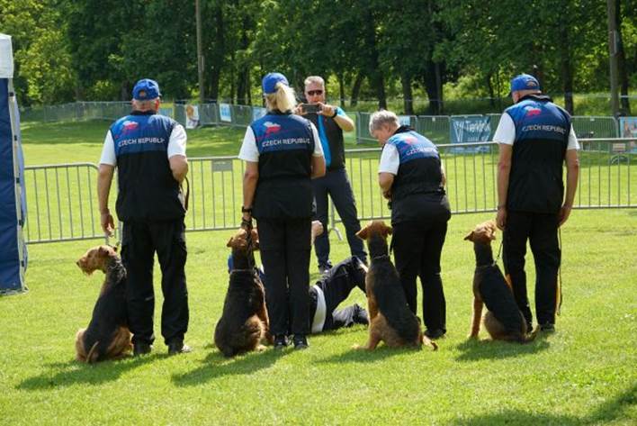 Beschreibung: Beschreibung: Ein Bild, das Gras, drauen, Baum, Hunderasse enthlt.

Automatisch generierte Beschreibung