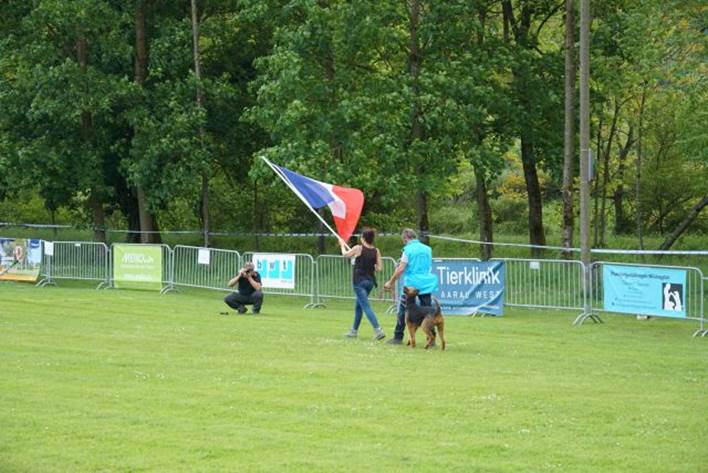 Beschreibung: Beschreibung: Ein Bild, das Gras, drauen, Baum, Person enthlt.

Automatisch generierte Beschreibung