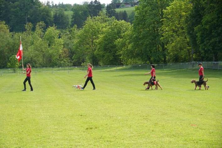 Beschreibung: Beschreibung: Ein Bild, das Gras, Baum, drauen, Sportspiele enthlt.

Automatisch generierte Beschreibung