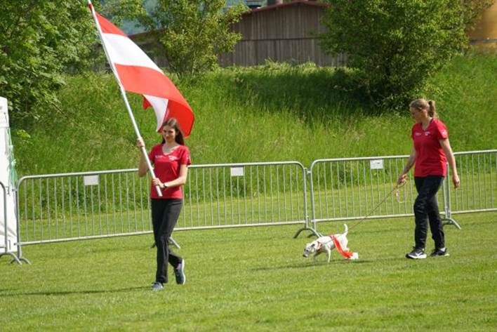 Beschreibung: Beschreibung: Ein Bild, das Gras, drauen, Person, Baum enthlt.

Automatisch generierte Beschreibung