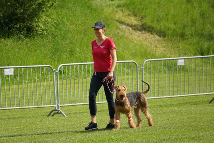 Beschreibung: Beschreibung: Ein Bild, das Gras, drauen, Hunderasse, Hundesport enthlt.

Automatisch generierte Beschreibung