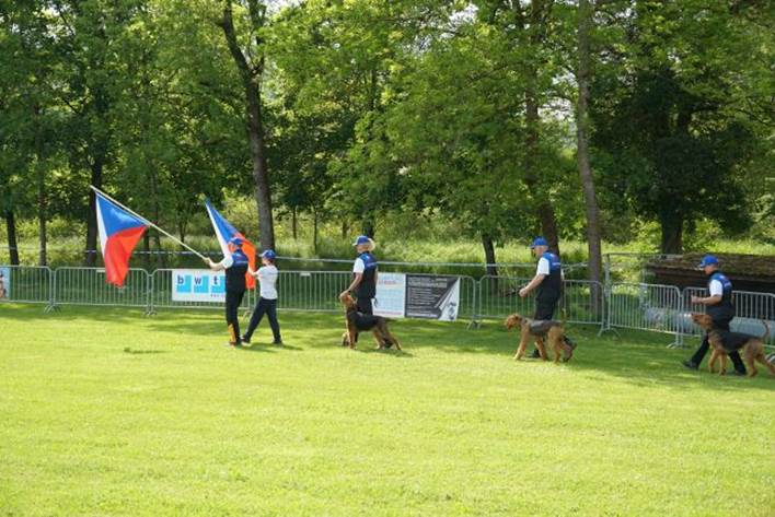 Beschreibung: Beschreibung: Ein Bild, das Gras, Baum, drauen, Hund enthlt.

Automatisch generierte Beschreibung