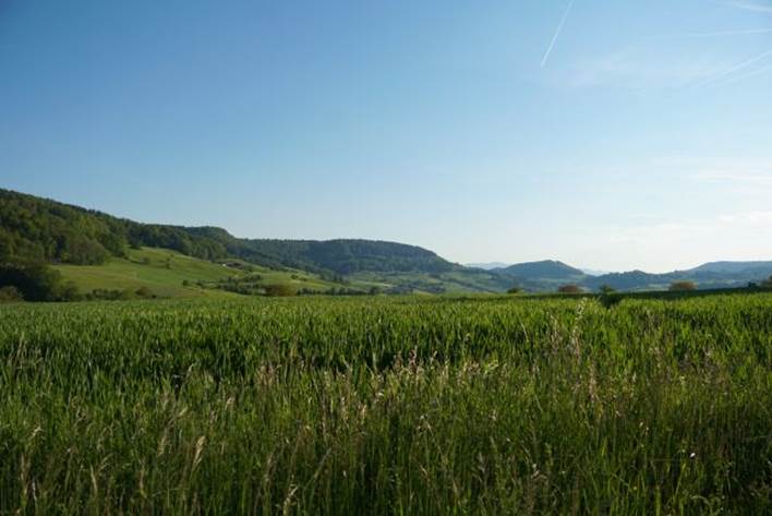 Beschreibung: Beschreibung: Ein Bild, das drauen, Himmel, Landschaft, Wiese enthlt.

Automatisch generierte Beschreibung