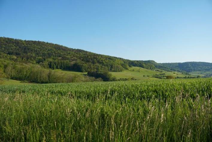 Beschreibung: Beschreibung: Ein Bild, das drauen, Landschaft, Wiese, Grasland enthlt.

Automatisch generierte Beschreibung