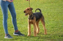 Beschreibung: Beschreibung: Beschreibung: Beschreibung: Beschreibung: Beschreibung: Beschreibung: Beschreibung: Ein Bild, das Gras, Baum, drauen, Feld enthlt.

Automatisch generierte Beschreibung
